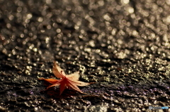 はいけいあすふぁると