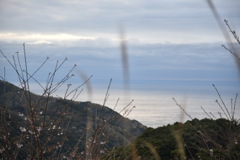 駿河湾