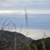 駿河湾