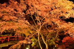 4F010D89-6A2B-4BA7-A121-E47B37B55699