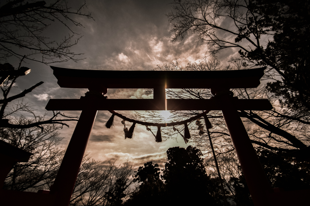 高尾山鳥居