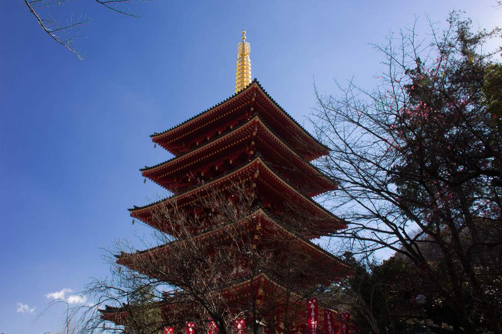 高幡不動五重塔
