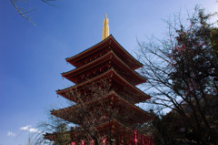 高幡不動五重塔