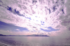 沼津湾