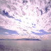 沼津湾