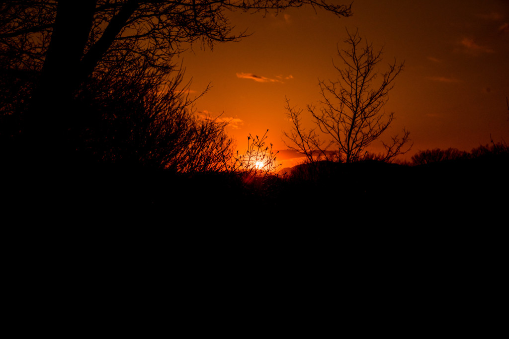 夕暮れ