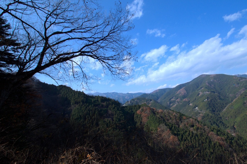 秋川渓谷