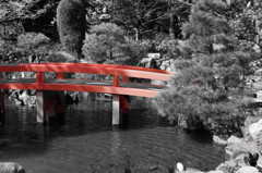 橋