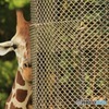 何見てんのよ。