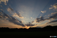 夕暮れのたもと
