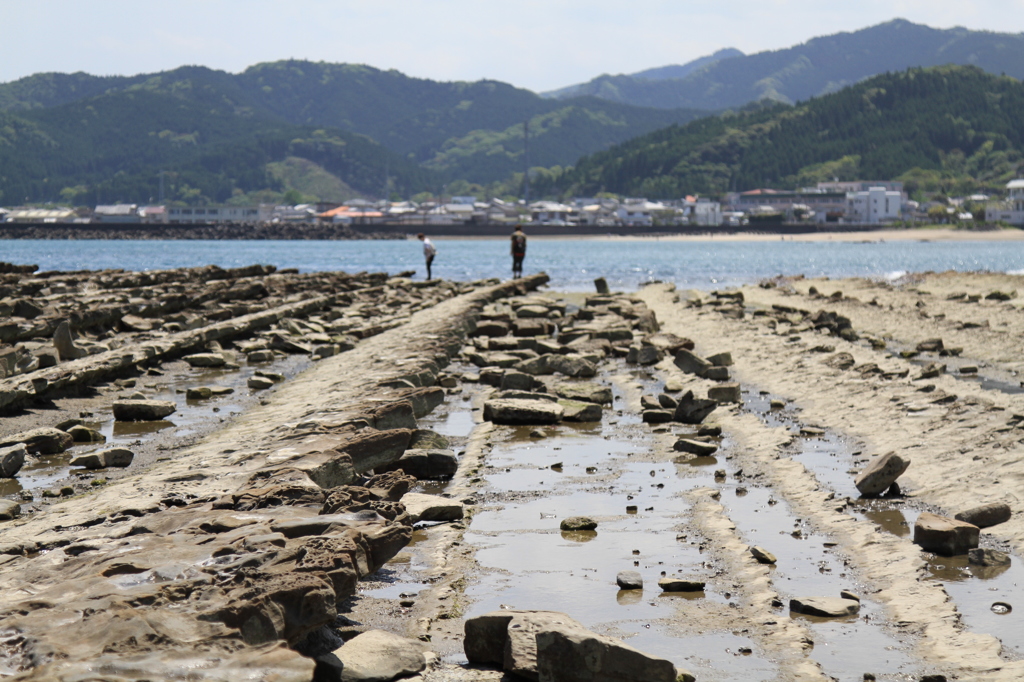 宮崎 青島
