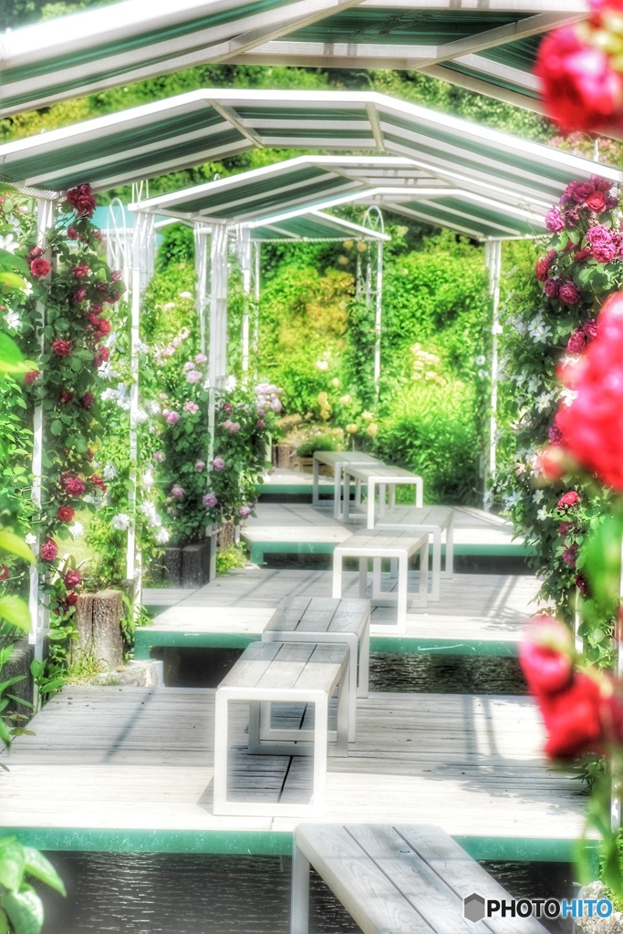 garden 2
