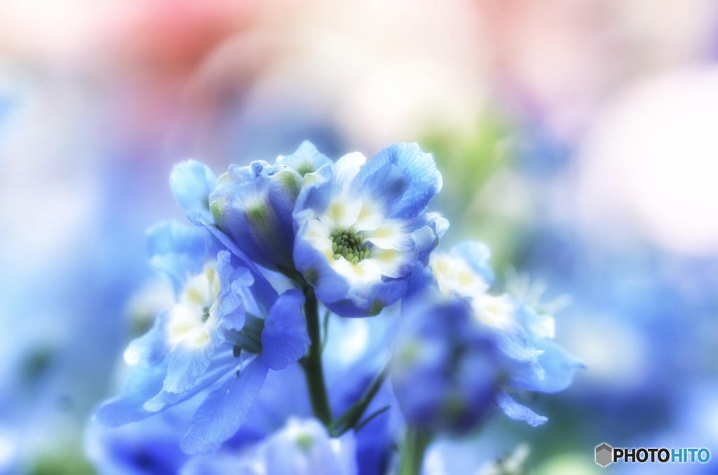 Soft light