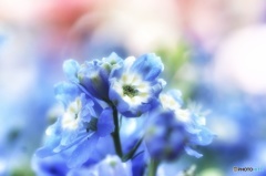 Soft light