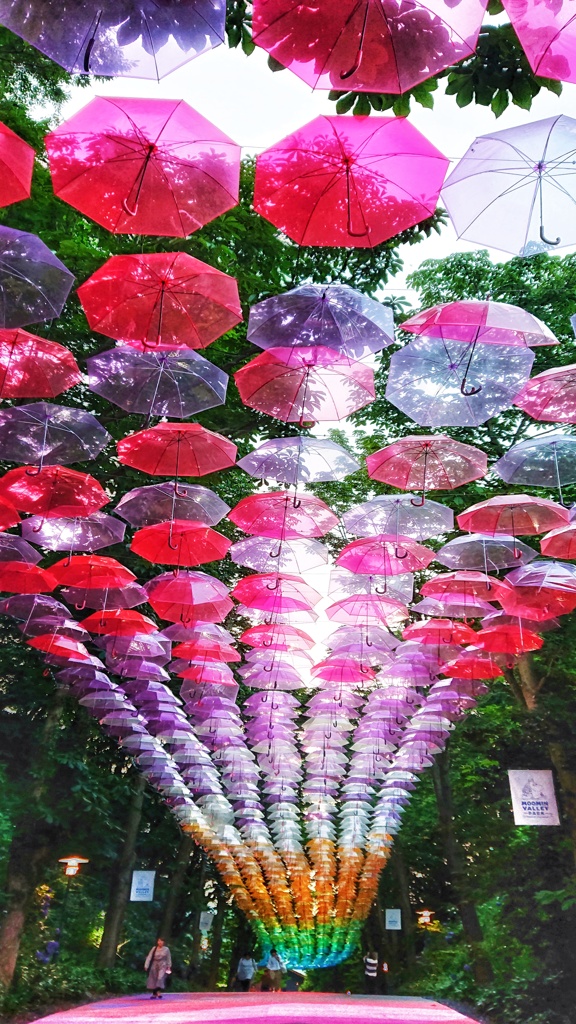 umbrella