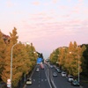 駒沢オリンピック公園