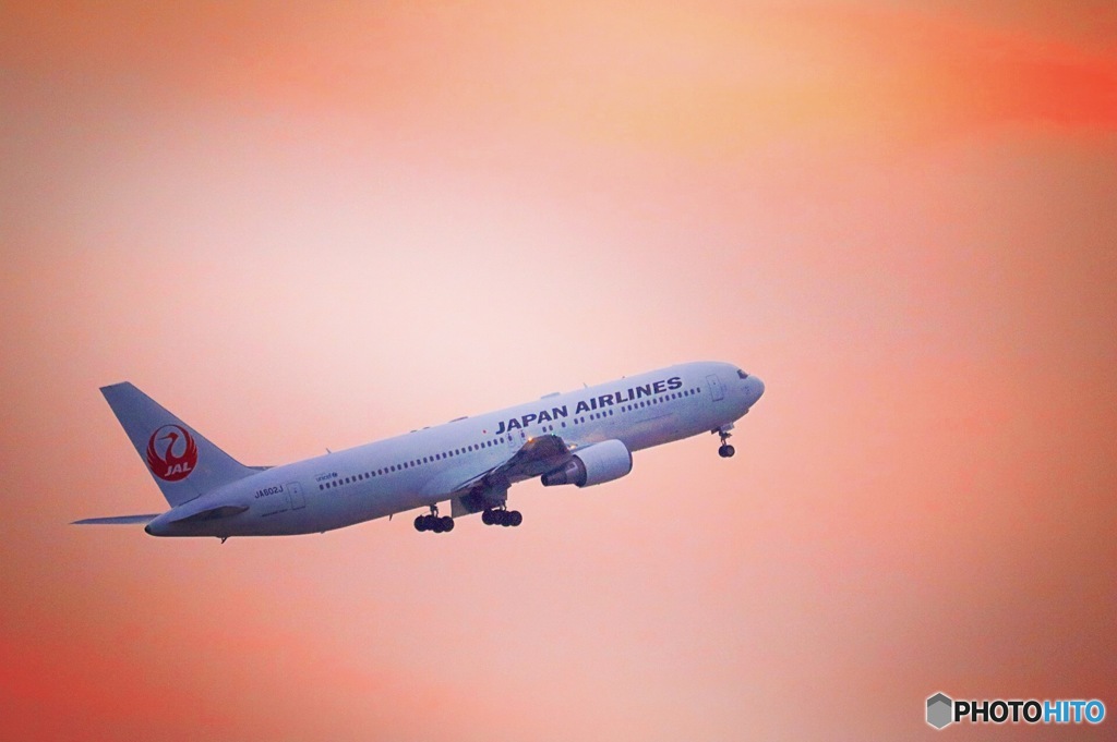 JAL in the sunset