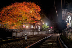 ぶらりローカル電鉄の旅