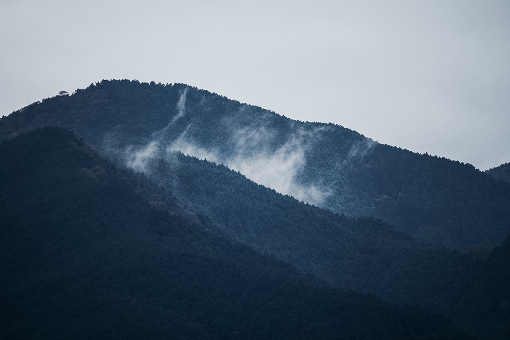 霧