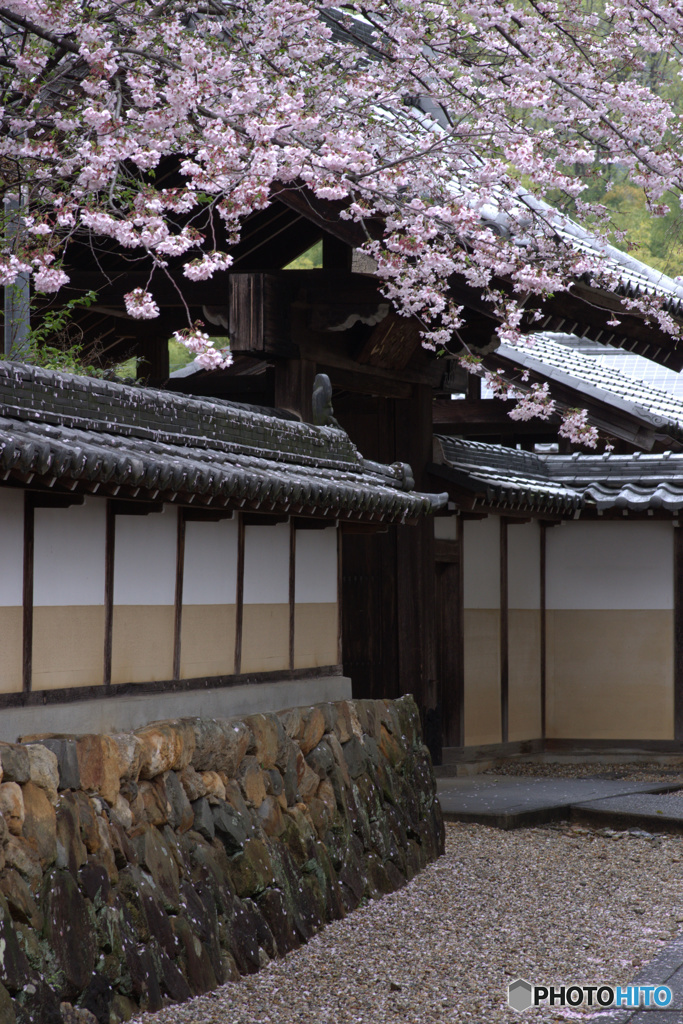 花の寺