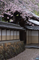 花の寺