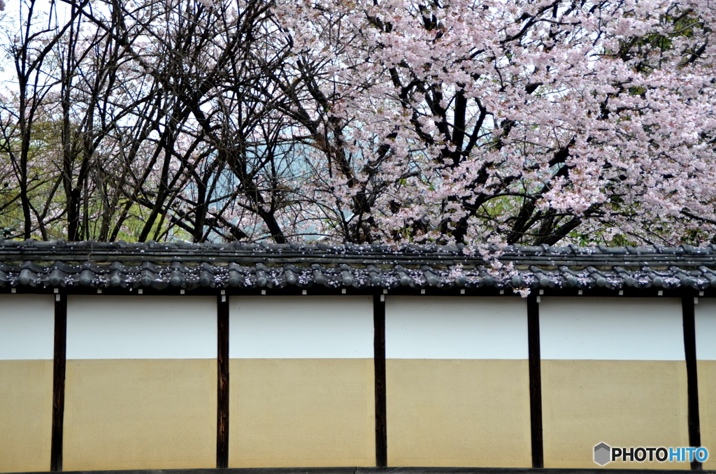 花の寺