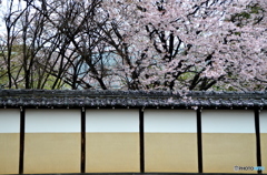 花の寺