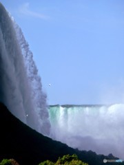 P1010581