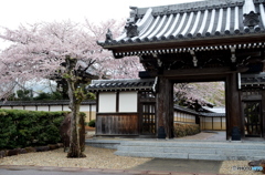 花の寺