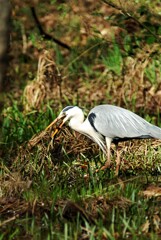 DSC_6799 (2)