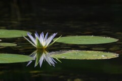 IMGP9069 (3)