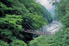 祖谷のかずら橋