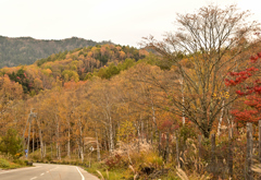 高原道路・秋風景