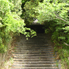新緑の山門❶