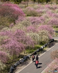 春景色　Ⅰ