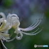 水も滴る・・・・・