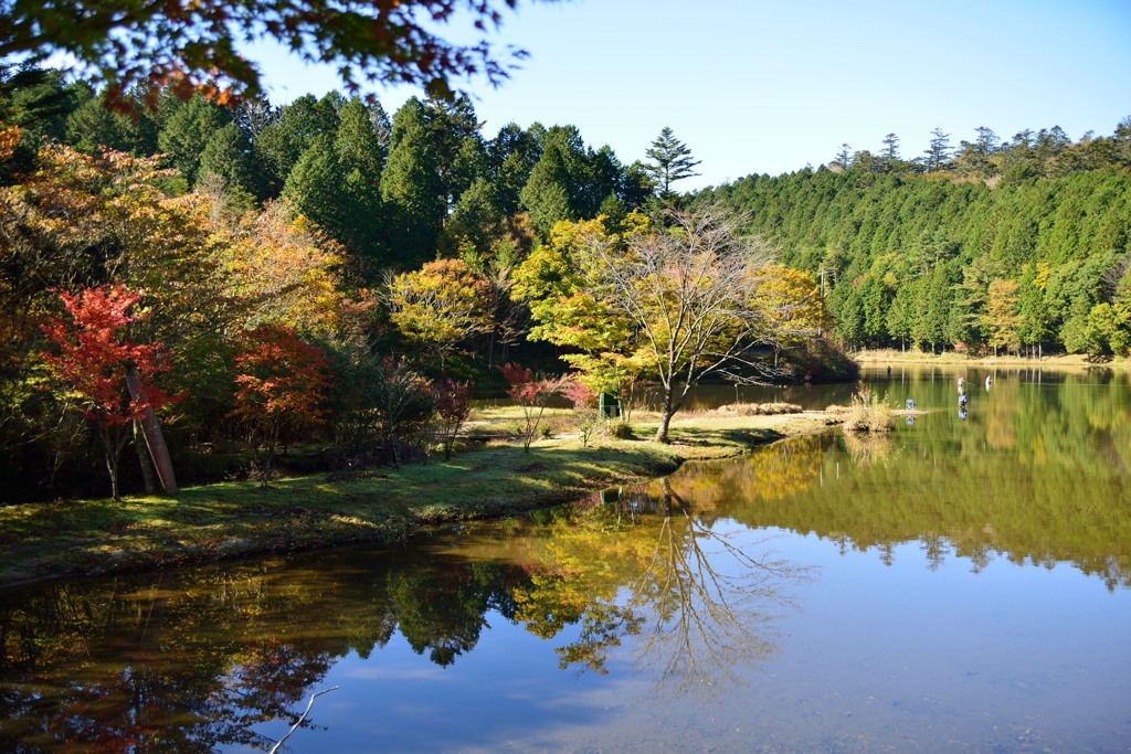 ａｕｔｕｍｎ　ｈｏｌｉｄａｙ