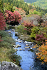 輝く秋景