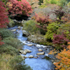 輝く秋景