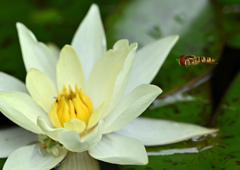 突撃・・・・・