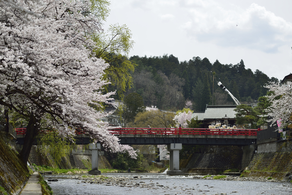 見なれた風景