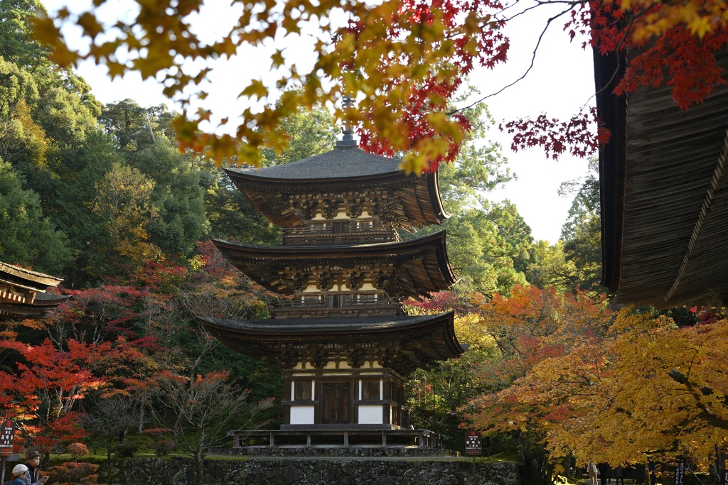 秋色に包まれて