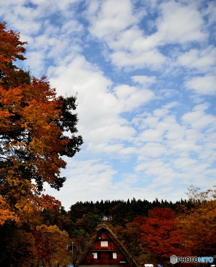見上げれば秋空