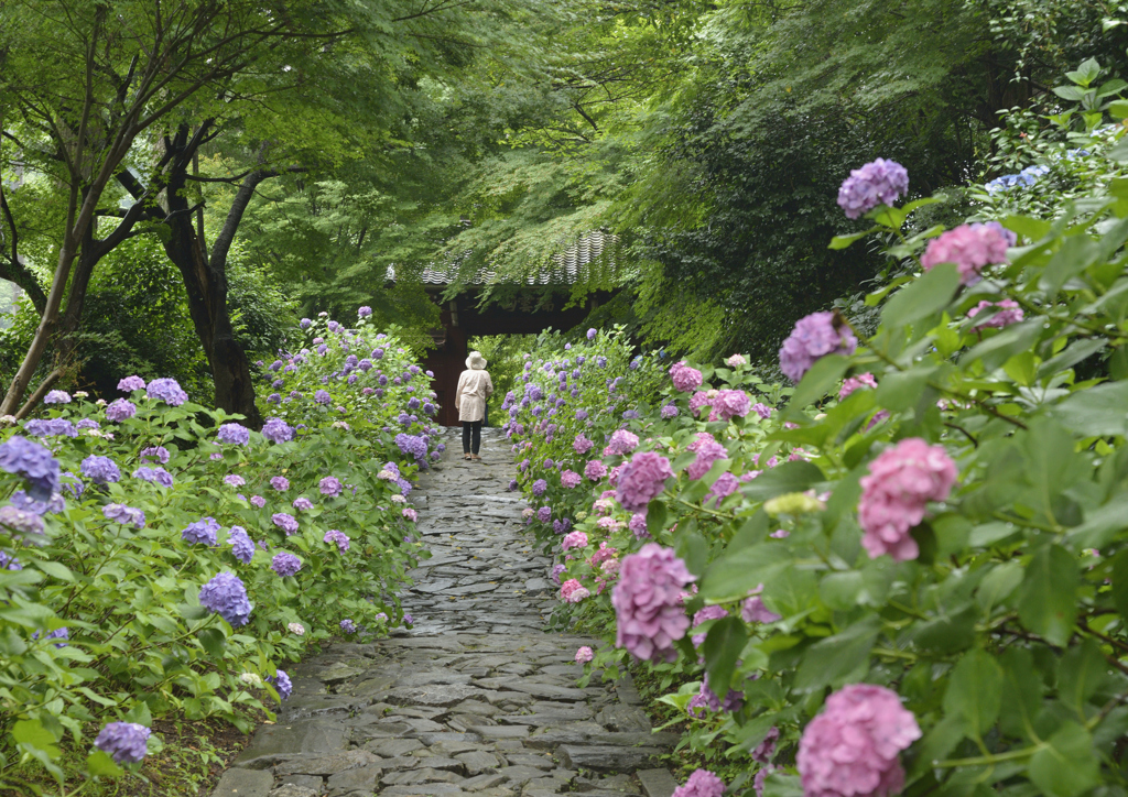 花と緑と山門と　②