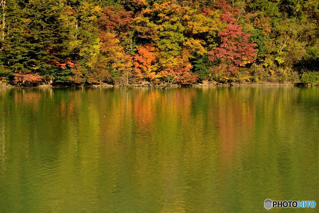 秋色に染まる湖面