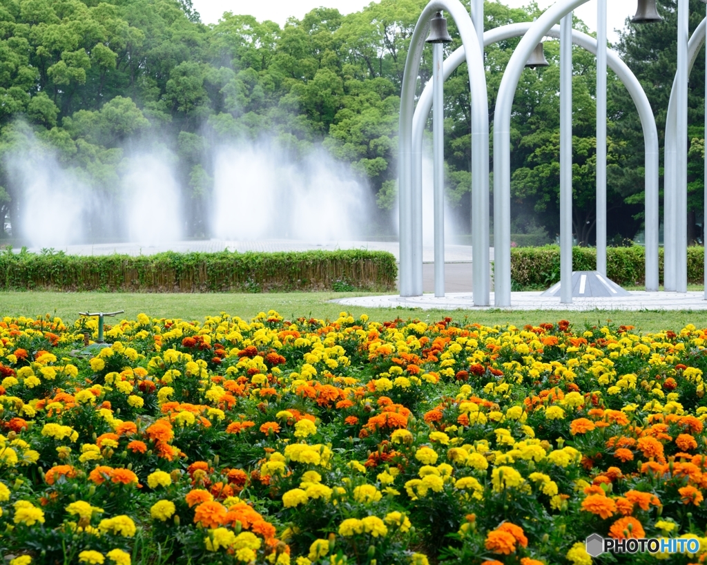 初夏の公園で