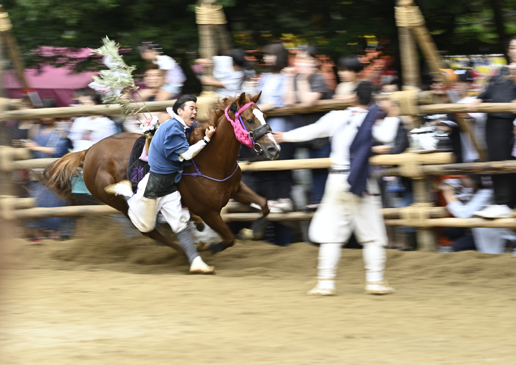 駆け馬神事