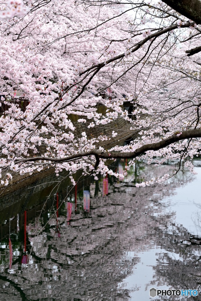 水鏡