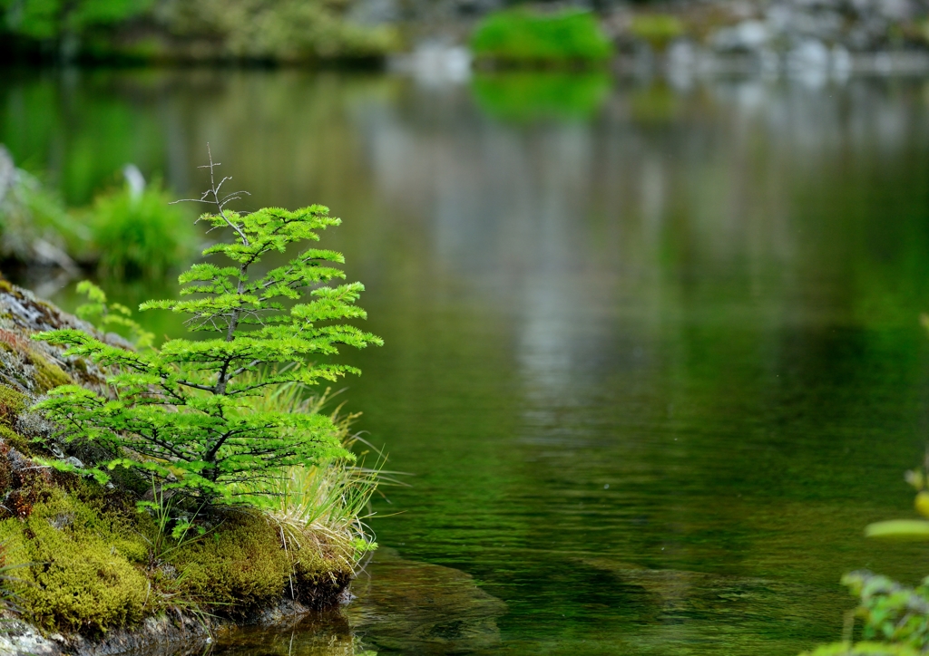静けさを湛えて