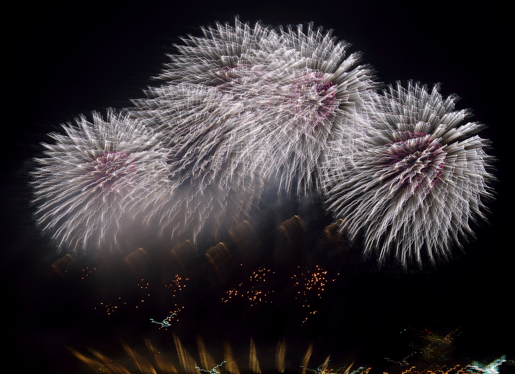 hanabi 1